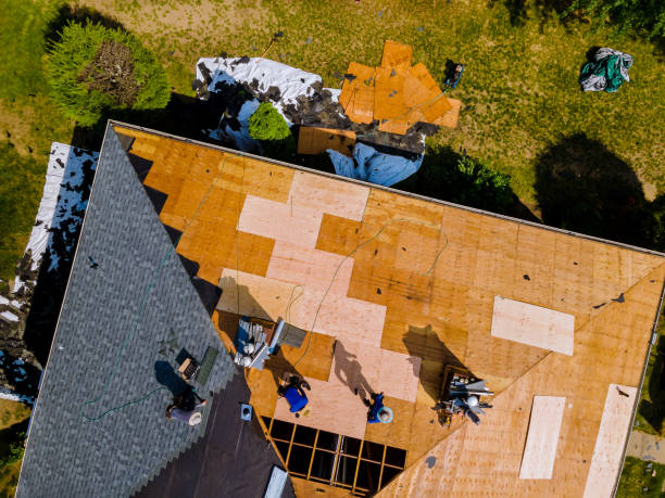 Best Metal Roofing Contractor  in Hanley Hills, MO